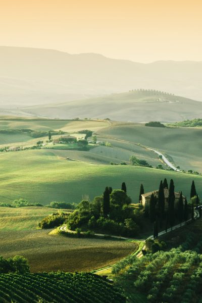 tuscany-landscape-at-sunrise-tuscan-farm-house-vineyard-hills-.jpg